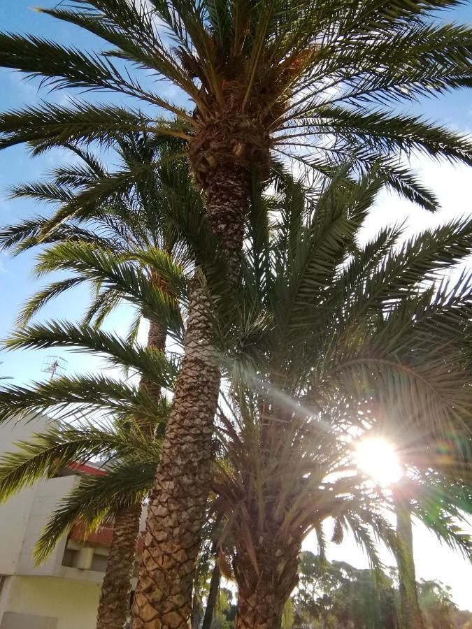קוסטה דל סילנסיו Cozy Apartment With Amazing Views To Garden Next To The Ocean מראה חיצוני תמונה